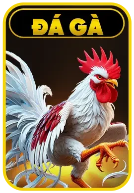 đá gà icon skyclub